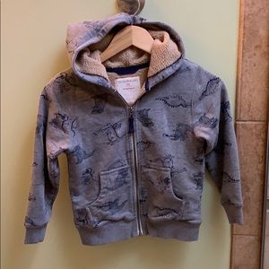 Hanna Andersson Fleece Dragon Hoodie